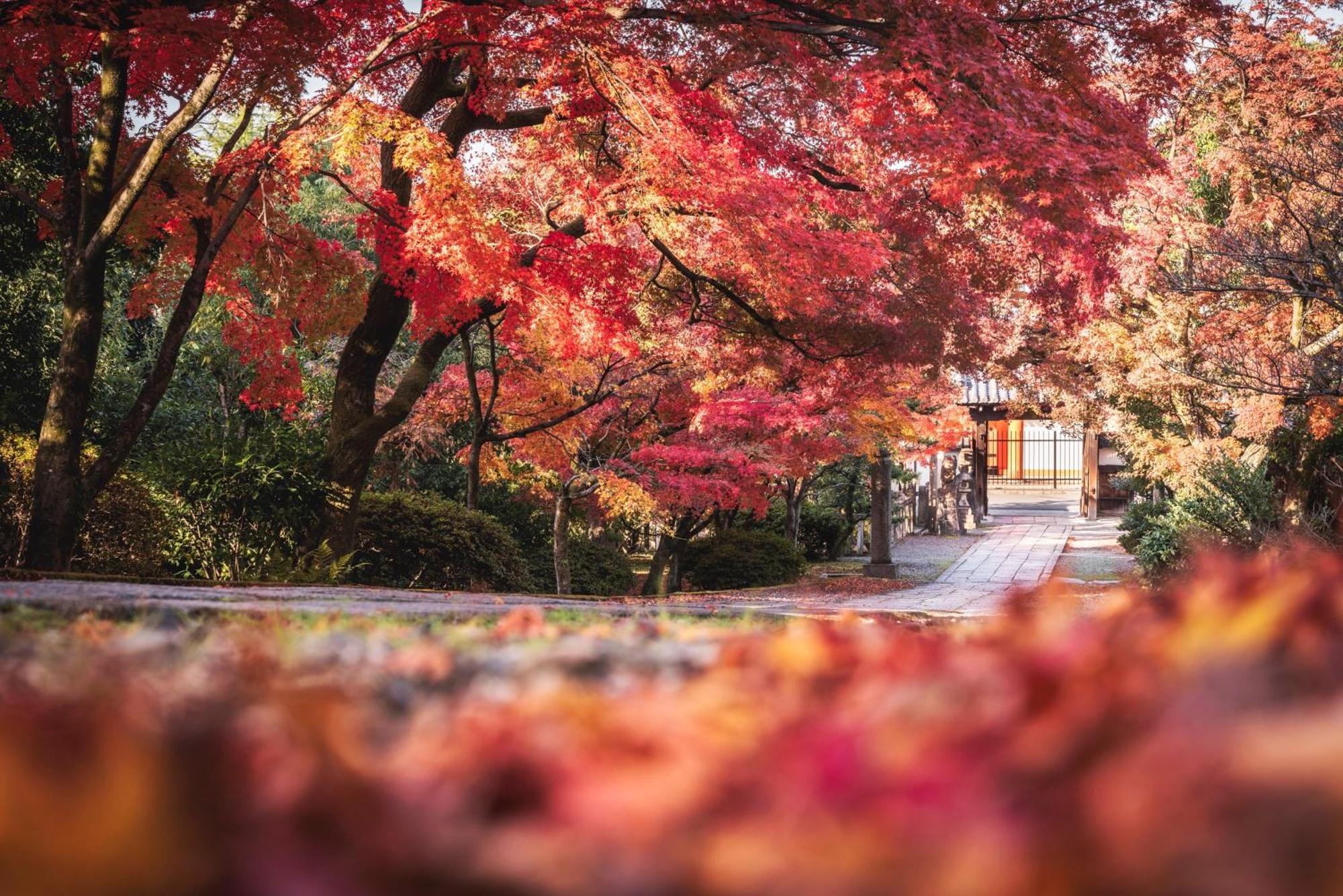 Omo5 Kyoto Gion By Hoshino Resorts Quioto Exterior foto